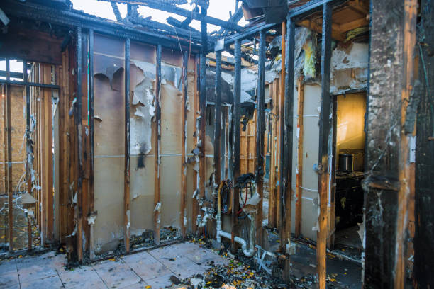 Professional Fire Damage Removal technician working in Princeton, KY